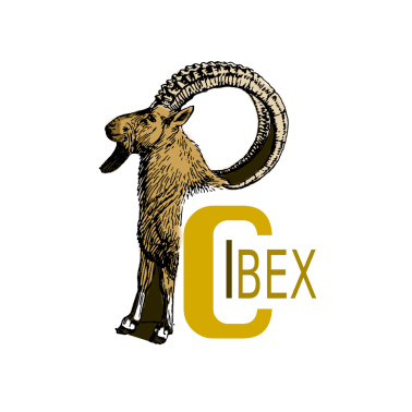 PCIbex